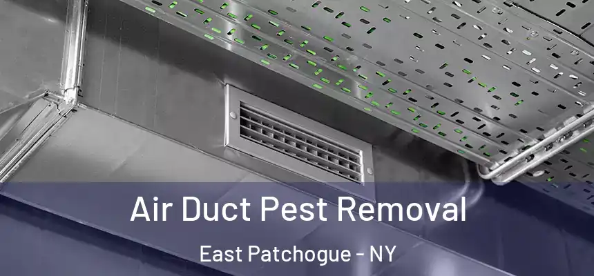  Air Duct Pest Removal East Patchogue - NY