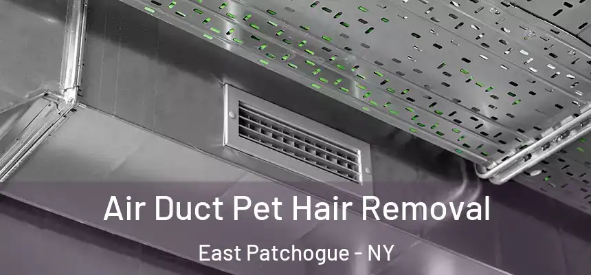 Air Duct Pet Hair Removal East Patchogue - NY