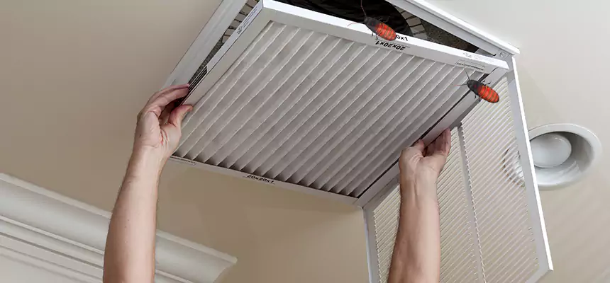 Preventive Cockroach-Proofing for Ducts in East Patchogue