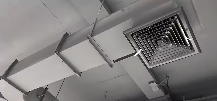 Restorative Allergy Relief Vent Cleaning – Coil, Blower & Housing Detail in East Patchogue