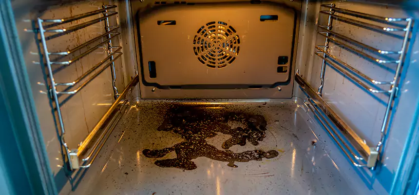 Our Dryer Vent Mold Cleaning Services in East Patchogue, NY