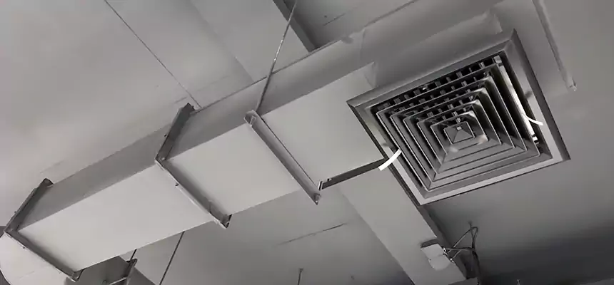 Our Pest Removal From Ducts Services in East Patchogue, NY