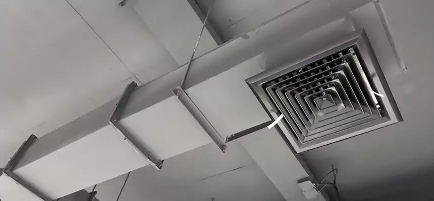 Our Rodent Droppings In Vents Services in East Patchogue, NY