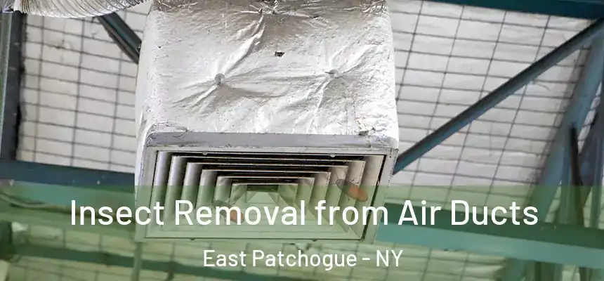  Insect Removal from Air Ducts East Patchogue - NY