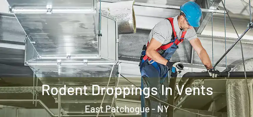  Rodent Droppings In Vents East Patchogue - NY
