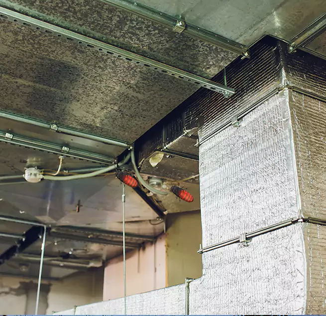 Why Homeowners & Businesses Trust Us in East Patchogue, NY?