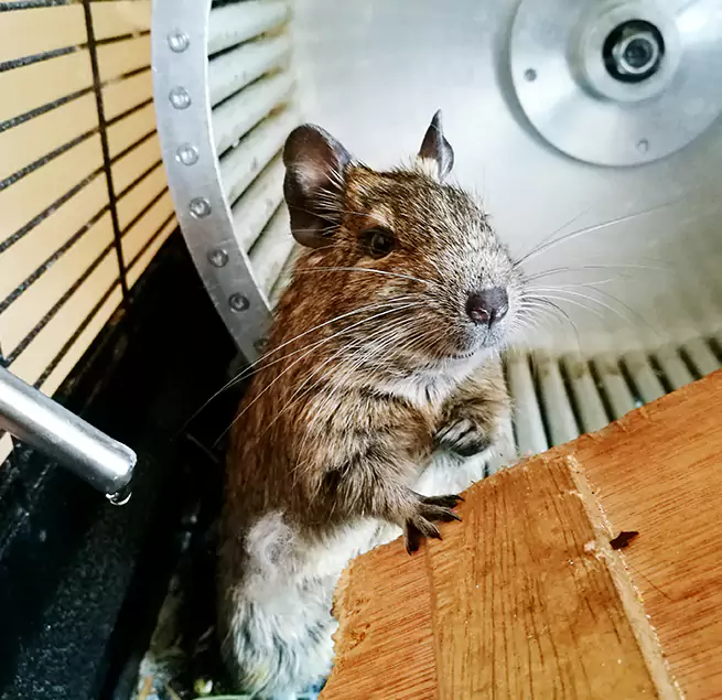 Why Homeowners & Businesses Trust Us East Patchogue, NY