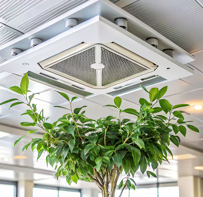 Why Homeowners & Businesses Trust Us in East Patchogue, NY?